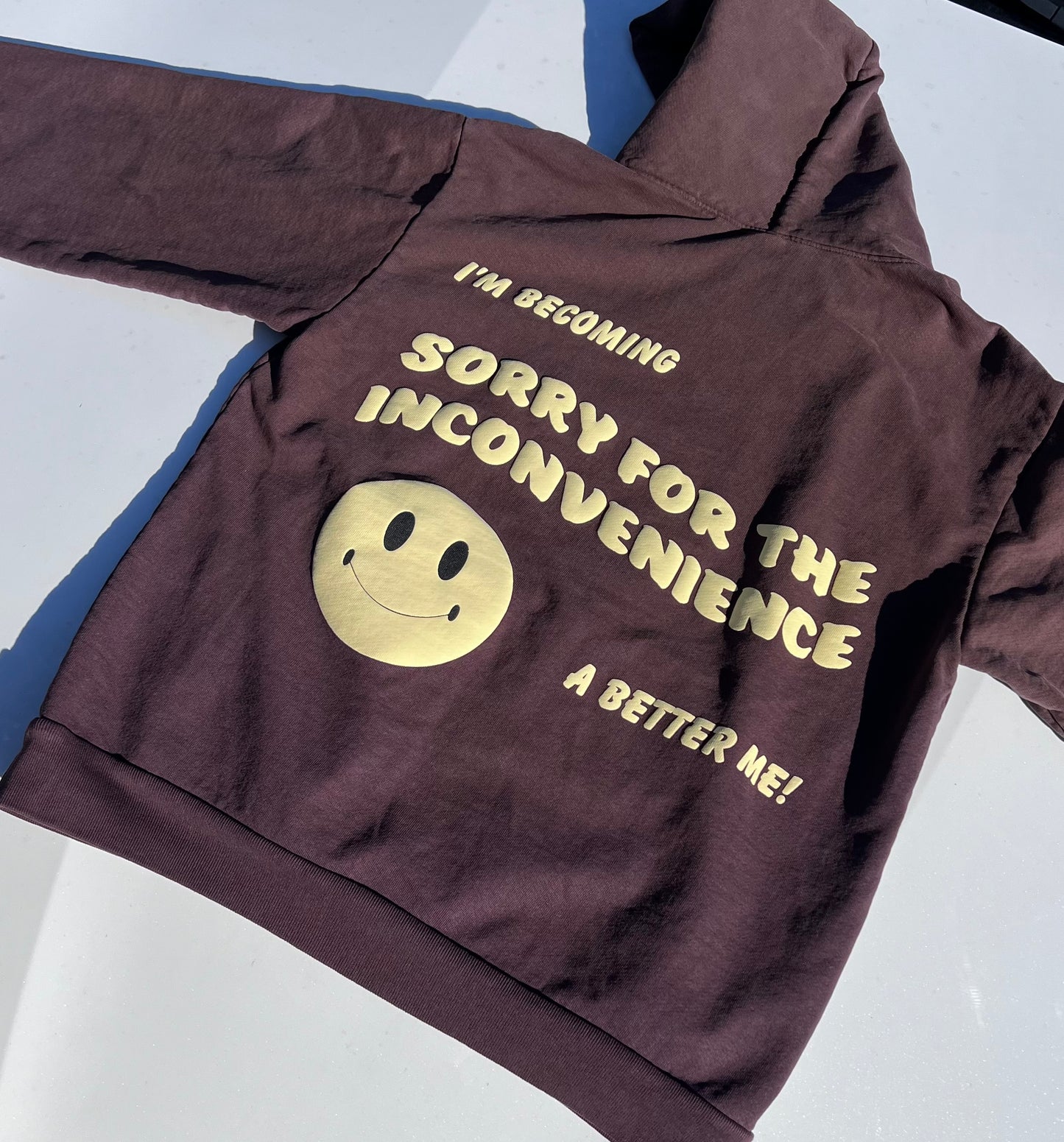 Sorry For The Inconvenience Mocha and Cream Hoodie